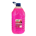 ECOnomix для підлоги 5 л