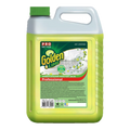 Засіб для миття універсальний PRO Service Golden Lime Лайм 5 л
